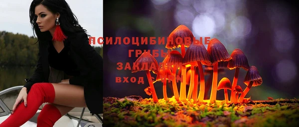 круглые Вязьма