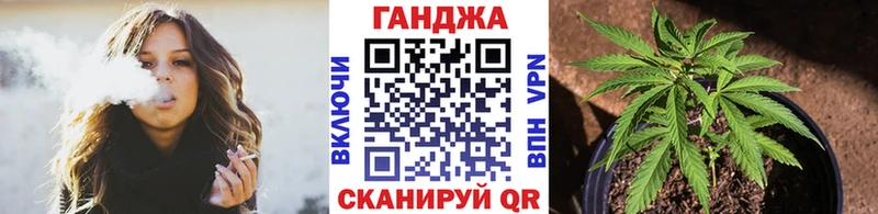 Купить где Новая Ладога МАРИХУАНА планчик